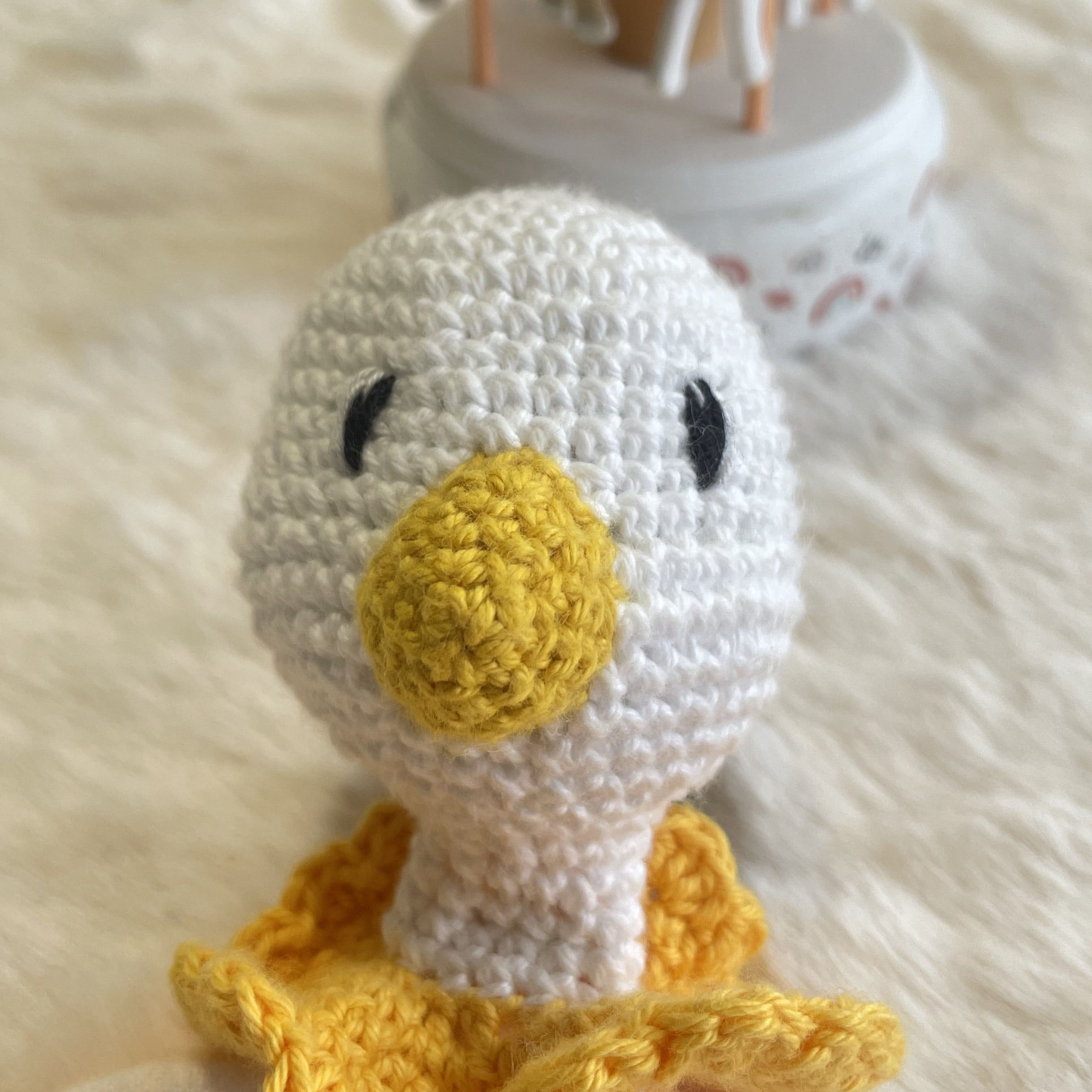 Splash le Canard