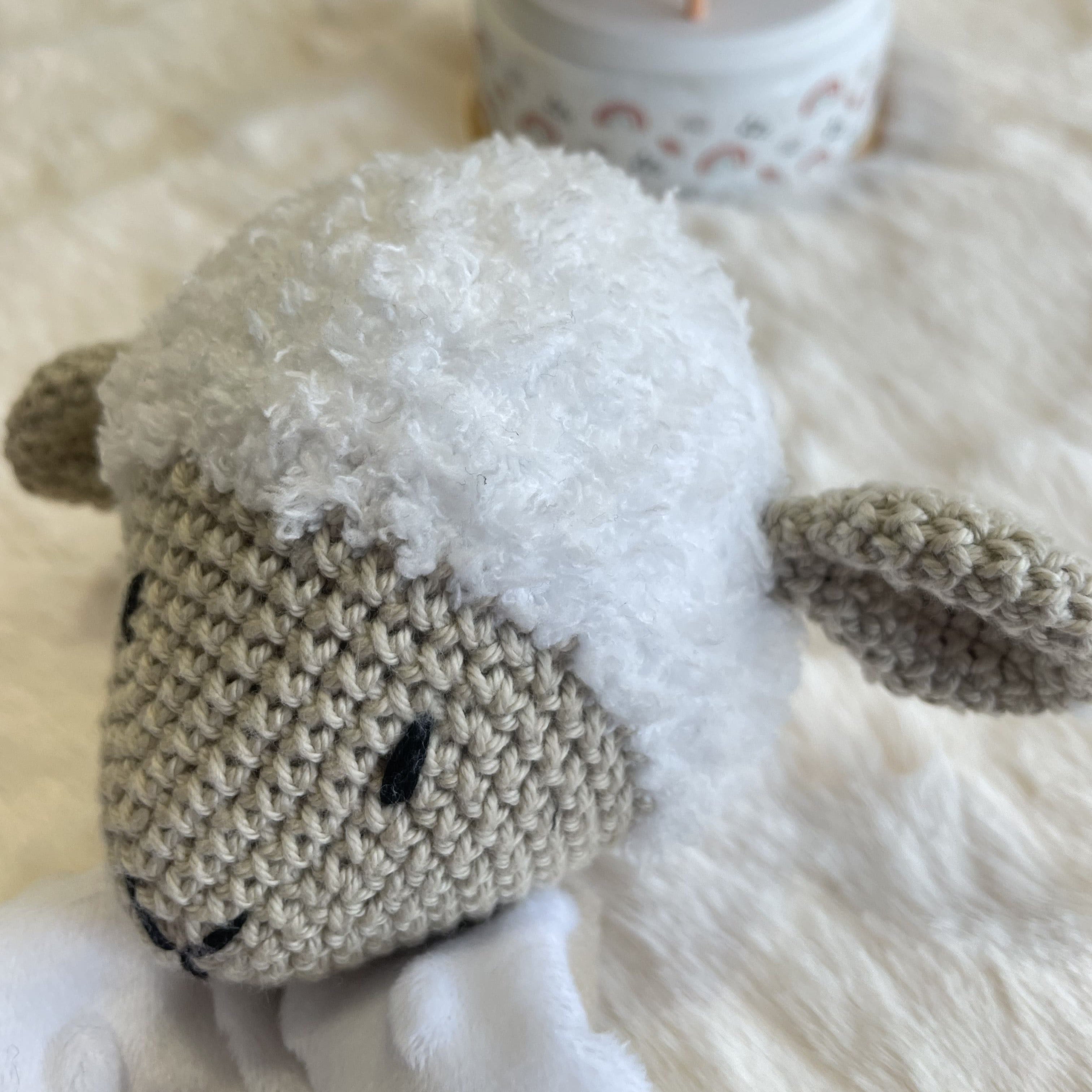 Coton le Mouton